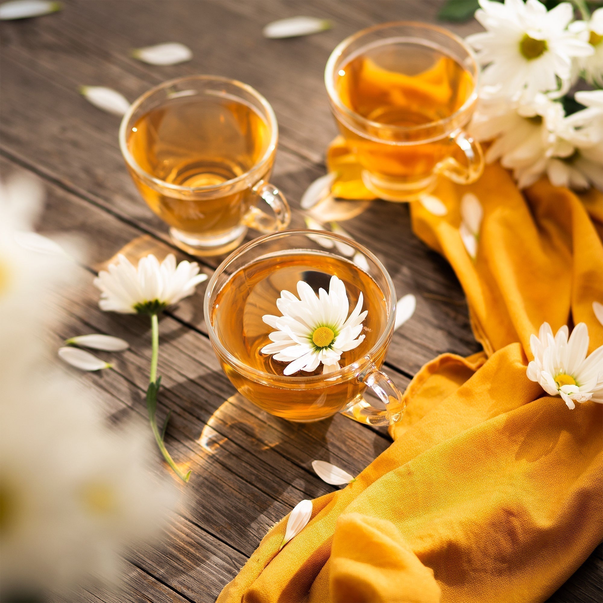 How to Steep Tea: Tea Bags & Loose Leaf