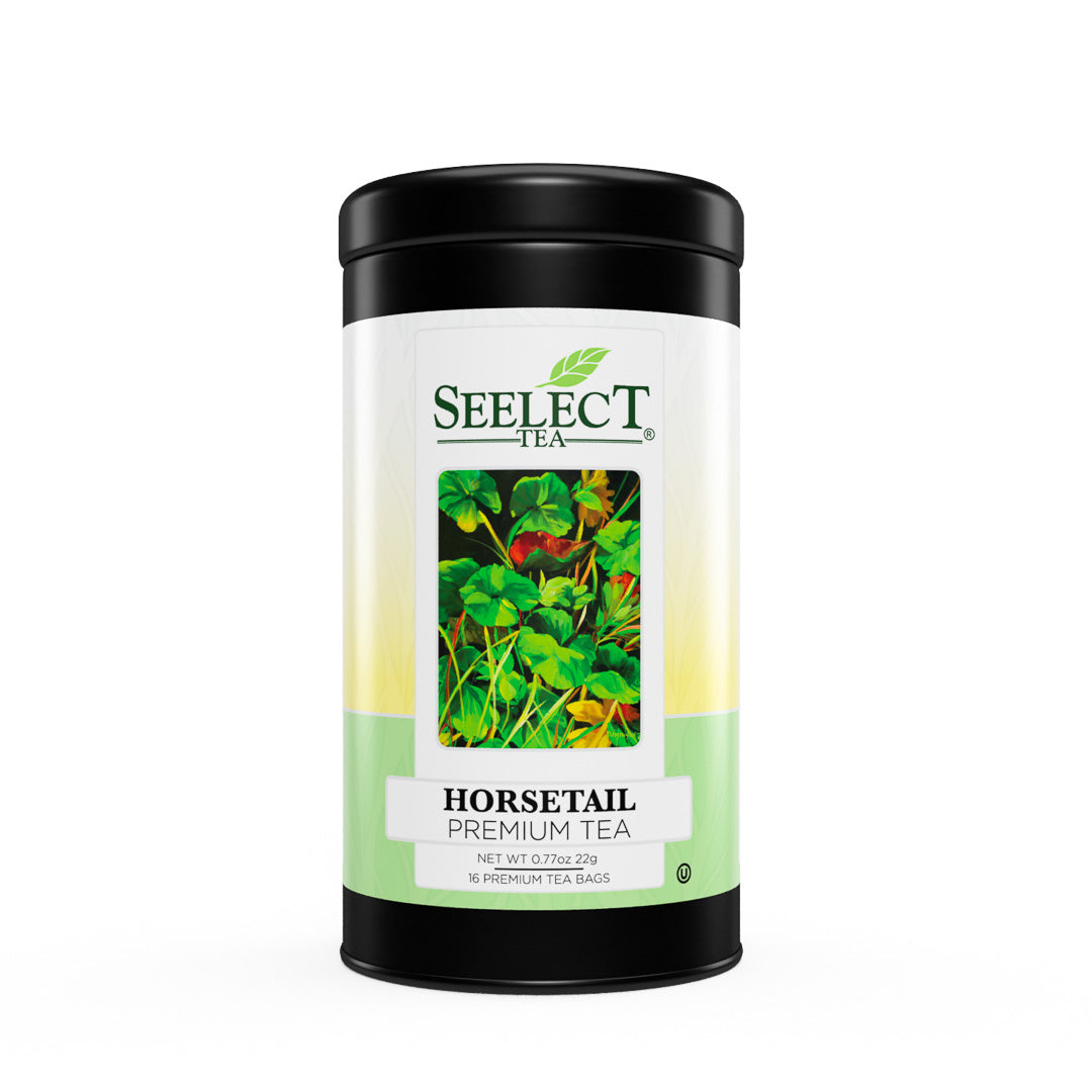 horsetail plant tea Horsetail Tea